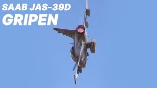 GRIPEN D DEMO  Newcastle Airshow 2019 [upl. by Hareema]