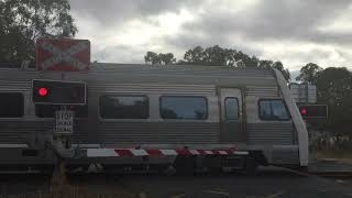 Railway Crossing of Australind Train at Sunset  Western Australia [upl. by Amitarp]