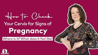 How to Check Your Cervix for Signs of Pregnancy [upl. by February48]