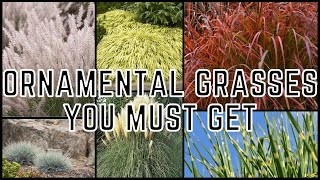 12 Ornamental Grasses Perfect For Your Landscape 🌾 [upl. by Rollie]