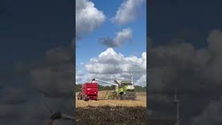 Claas Trion 660 TT [upl. by Herwig268]