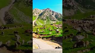 Minimarg Astore 🇵🇰 shorts viralshorts trending traval pakistan [upl. by Teferi]