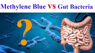 Discover How Methylene Blue Impacts Your Microbiome [upl. by Hyrup]