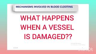 HEMOSTASIS THE COAGULATION CASCADEPART 1THE PRO amp NONTHROMBOTIC ROLE OF THE BLOOD VESSELS [upl. by Elodia]