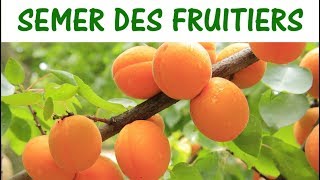 SEMER DES ARBRES FRUITIERS  semer des noyaux et pépins [upl. by Gil]