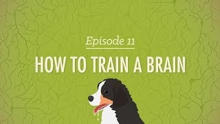 How to Train a Brain Crash Course Psychology 11 [upl. by Nibur]