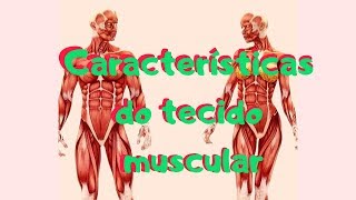 As 4 características do tecido muscular [upl. by Renae76]