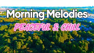 Peaceful Morning Classic  Chill Rhumba amp Cha Cha Cha Instrumental Melodies  Relaxing Morning Vibes [upl. by Egroj]