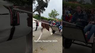 Appleby Horse Fair 2024 [upl. by Ginevra]