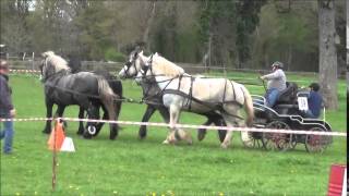 Jeannot et ses 4 percherons [upl. by Egas255]