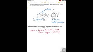 Monosporic development and Monocarpic plant shortsvideo [upl. by Algar439]