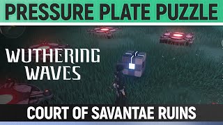 Wuthering Waves  Pressure Plate Puzzle  Court of Savantae Ruins [upl. by Konyn]