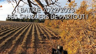 CHASSE BATTUE 20222023 Tirs de deux compagnies de sangliers avec mon premier doublé [upl. by Crissie]