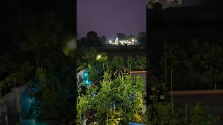 My gardens night view mygarden gardening shortvideo ytshorts flowers [upl. by Ahsinra730]