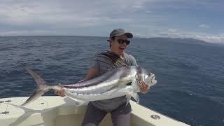 COSTA RICA  INSHORE ROOSTER FISH [upl. by Ennahtebazile]