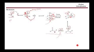 Fischer Esterification [upl. by Enitsud]