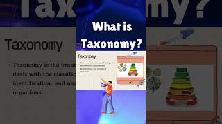 what is taxonomy  biology class 9 video shorts [upl. by Ingrim]