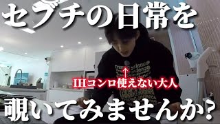 アイドルの生活をノゾキミ【セブチ日本語字幕】僕は一人で暮らすSEVENTEEN氏1 EP40 [upl. by Derwood]