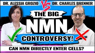 The Big NMN Controversy  Can NMN Directly Enter Cells  Dr Charles Brenner vs Dr Alessia Grozio [upl. by Ynffit261]