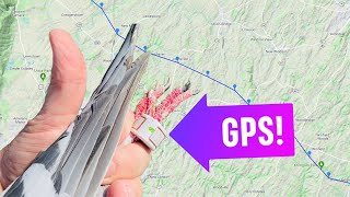 Racing pigeons 40 mile toss tracked with Skyleader GPS bands [upl. by Ivek]