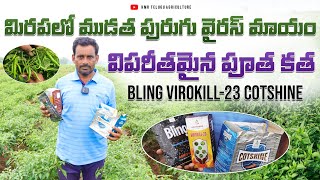 Cotshine మరియు Bling  Virokill23 use in chilli crop  మిరపలో ఎలాంటి పురుగు ముడత అయినా కతం [upl. by Wier]