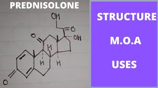 Prednisolone mechanism of Action  uses of prednisolone  prednisolone medicinal chemistry [upl. by Adnolaj]