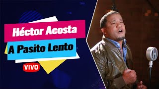 ▷ Héctor Acosta El Torito A Pasito Lento En Vivo  En Vivola [upl. by Anaujit]