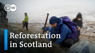 Back to the future Reforesting Scotlands iconic hills  Focus on Europe [upl. by Eugeniusz]