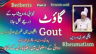 Gout  Rheumatism homeopathic medicine Berberis  benzoic acid  tazabi maady peshaab sy niklna [upl. by Lesde399]