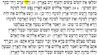 Torah Reading  Genesis Chapter 1 [upl. by Alper]