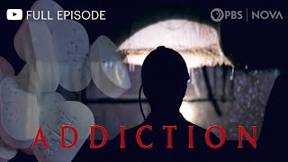 Addiction I Full Documentary I NOVA I PBS [upl. by Aketal175]