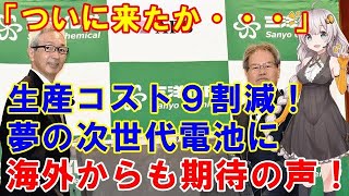 【日本の技術力】海外、「これは地球を変える！」次世代リチウムイオン電池を開発する日産リーフの技術者が立ち上げたスタートアップ企業が海外で話題！【日本と世界の気になる話題】 [upl. by Oterol]