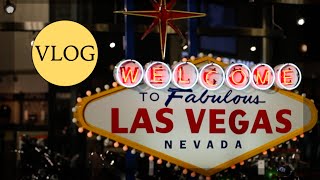 Vlog Las Vegas  Dicas por Rayssa Mateus [upl. by Assirram]