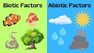 Biotic and Abiotic Factors [upl. by Dillie]