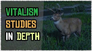 Animal transformation in Depth Vitalism studies Guide in red dead online Buck [upl. by Auqinimod]