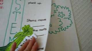 Grade 1  Science Projects activity pages and games about plants and their stems [upl. by Nolte]