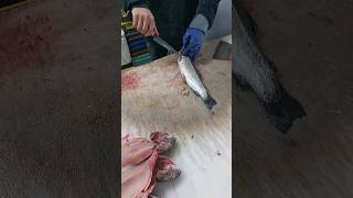 Butterfly Trout  Butterfly Cut Trout boned or boneless [upl. by Weiler]