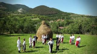 Ionela Pascu Povestesc bacitele [upl. by Gibeon]