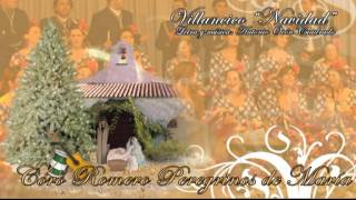 Villancico flamenco quotNavidadquot  Coro Romero Peregrinos de María Adamuz [upl. by Herra]