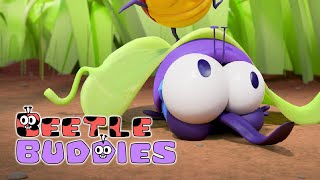 Hide n seek boogers and more  BEETLE BUDDIES Compilation  Cartoons for Kids [upl. by Kimberley]