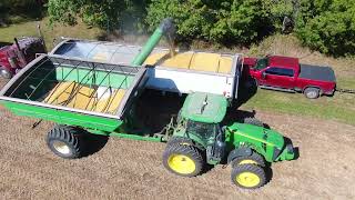 20241002 Rouch Farms Soybean Harvest [upl. by Anitsyrhk]