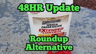 Spectracide Weed and Grass Killer 48hour Update [upl. by Anait240]