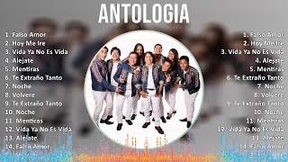 Antologia 2024 MIX Grandes Exitos  Falso Amor Hoy Me Ire Vida Ya No Es Vida Alejate [upl. by Aznecniv]