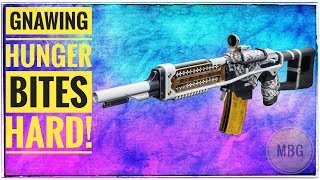 Destiny 2  EPIC GNAWING HUNGER How To Get The CURATED Legendary Auto Rifle  DO THIS TODAY [upl. by Bartolemo]