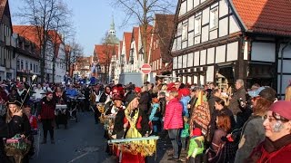 RhedaWiedenbrück 2015  Rosenmontag  Karnevalszug [upl. by Adila30]