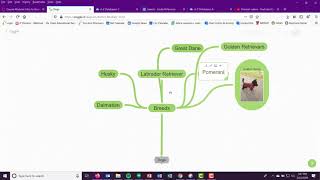 Mind Mapping with Coggle It [upl. by Idnor]