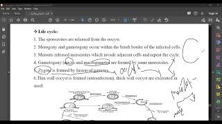 L110 para Cryptosporidium [upl. by Nalahs]