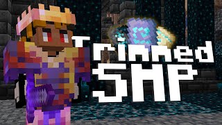 Taking over the Trimmed SMP [upl. by Chainey]