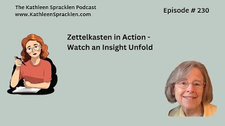 Zettelkasten in Action  Watch an Insight Unfold [upl. by Yziar]