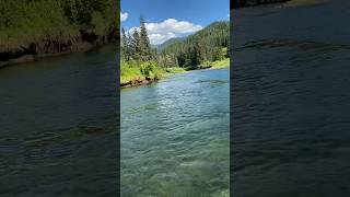 Jet boat Stikine river [upl. by Artemed500]